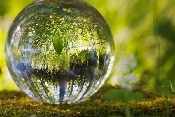 Reconciliados con la naturalera aove eco