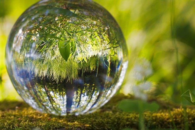 Reconciliados con la naturalera aove eco